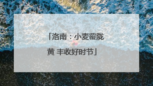 洛南：小麦覆陇黄 丰收好时节