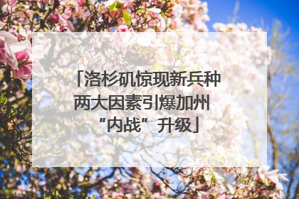 洛杉矶惊现新兵种 两大因素引爆加州“内战”升级