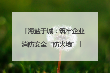 海盐于城：筑牢企业消防安全“防火墙”