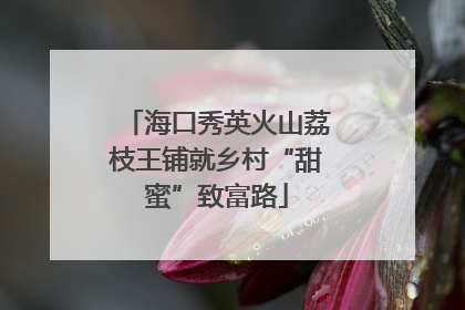 海口秀英火山荔枝王铺就乡村“甜蜜”致富路