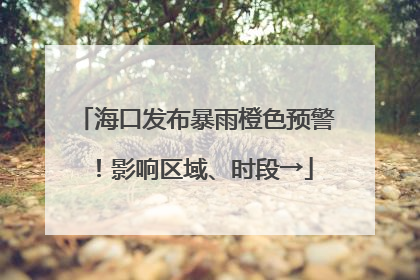 海口发布暴雨橙色预警！影响区域、时段→