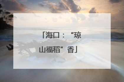 海口：“琼山福稻”香