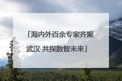 海内外百余专家齐聚武汉 共探数智未来