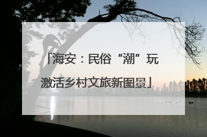 海安：民俗“潮”玩激活乡村文旅新图景