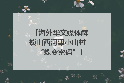 海外华文媒体解锁山西河津小山村“蝶变密码”