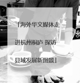 海外华文媒体走进杭州桐庐 探访县域发展新图景