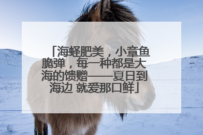 海蛏肥美，小章鱼脆弹，每一种都是大海的馈赠——夏日到海边 就爱那口鲜