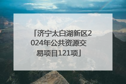 济宁太白湖新区2024年公共资源交易项目121项