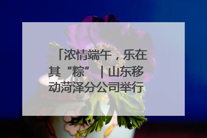 浓情端午，乐在其“粽”｜山东移动菏泽分公司举行端午节主题活动