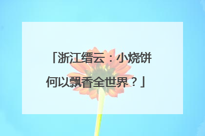 浙江缙云：小烧饼何以飘香全世界？
