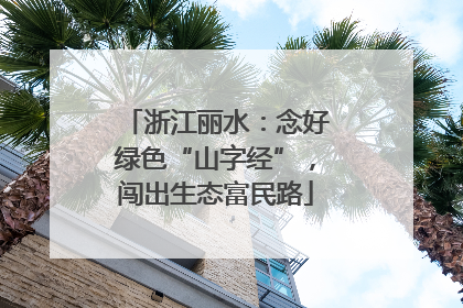浙江丽水：念好绿色“山字经”，闯出生态富民路