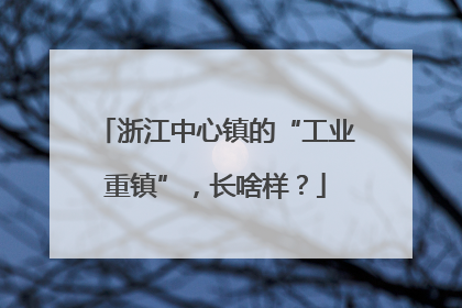 浙江中心镇的“工业重镇”，长啥样？