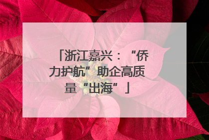 浙江嘉兴：“侨力护航”助企高质量“出海”