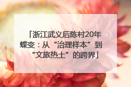 浙江武义后陈村20年蝶变：从“治理样本”到“文旅热土”的跨界