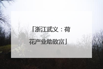 浙江武义：荷花产业助致富