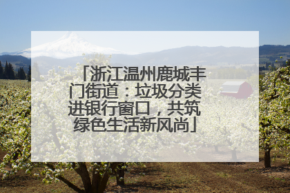浙江温州鹿城丰门街道：垃圾分类进银行窗口，共筑绿色生活新风尚