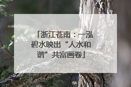 浙江苍南：一泓碧水映出“人水和谐”共富画卷