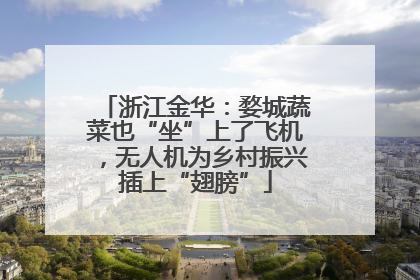 浙江金华：婺城蔬菜也“坐”上了飞机，无人机为乡村振兴插上“翅膀”