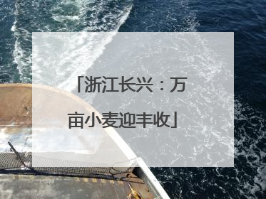 浙江长兴：万亩小麦迎丰收