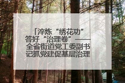 淬炼“绣花功” 答好“治理卷”——全省街道党工委副书记抓党建促基层治理培训示范班侧记