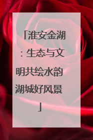 淮安金湖：生态与文明共绘水韵湖城好风景