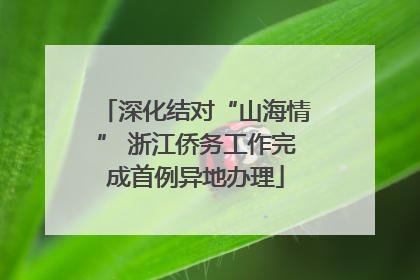 深化结对“山海情” 浙江侨务工作完成首例异地办理