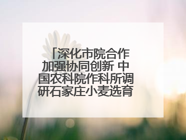 深化市院合作 加强协同创新 中国农科院作科所调研石家庄小麦选育种等工作