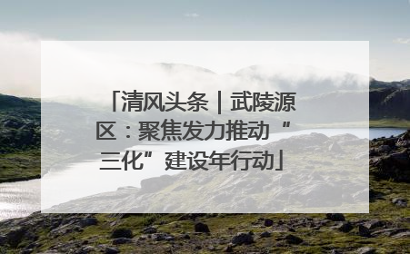 清风头条｜武陵源区：聚焦发力推动“三化”建设年行动