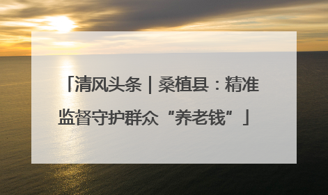 清风头条｜桑植县：精准监督守护群众“养老钱”