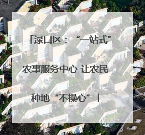 渌口区：“一站式”农事服务中心 让农民种地“不操心”