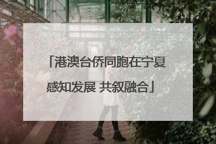 港澳台侨同胞在宁夏感知发展 共叙融合