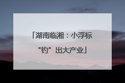 湖南临湘：小浮标“钓”出大产业