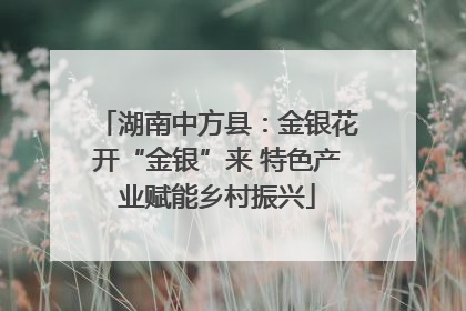 湖南中方县：金银花开“金银”来 特色产业赋能乡村振兴