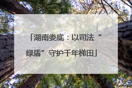 湖南娄底：以司法“绿盾”守护千年梯田