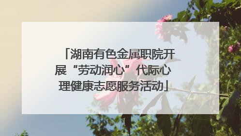湖南有色金属职院开展“劳动润心”代际心理健康志愿服务活动