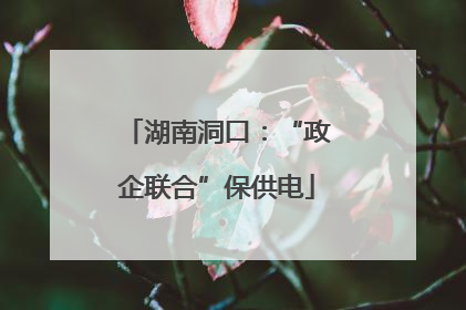 湖南洞口：“政企联合”保供电