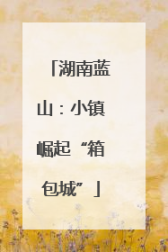 湖南蓝山：小镇崛起“箱包城”
