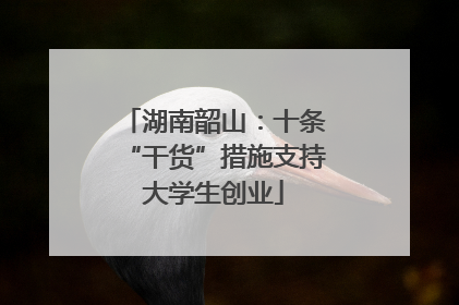 湖南韶山：十条“干货”措施支持大学生创业