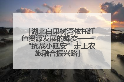 湖北白果树湾依托红色资源发展的蝶变——“抗战小延安”走上农旅融合振兴路