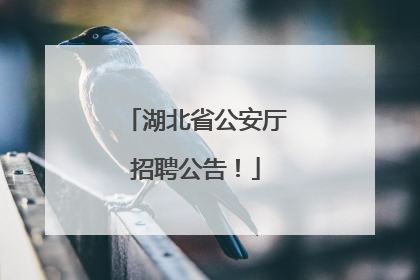 湖北省公安厅招聘公告！