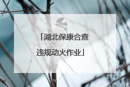 湖北保康合查违规动火作业