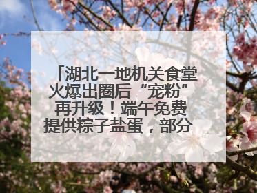 湖北一地机关食堂火爆出圈后“宠粉” 再升级！端午免费提供粽子盐蛋，部分人可八折