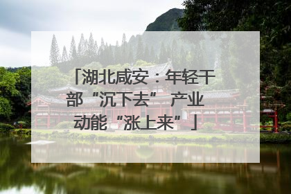 湖北咸安：年轻干部“沉下去” 产业动能“涨上来”
