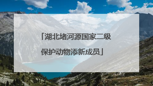 湖北堵河源国家二级保护动物添新成员