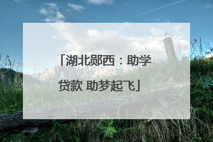 湖北郧西：助学贷款 助梦起飞