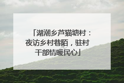 湖潮乡芦猫塘村：夜访乡村巷陌，驻村干部情暖民心
