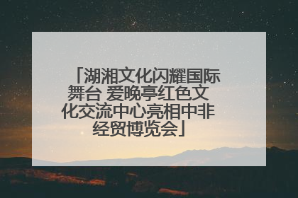 湖湘文化闪耀国际舞台 爱晚亭红色文化交流中心亮相中非经贸博览会