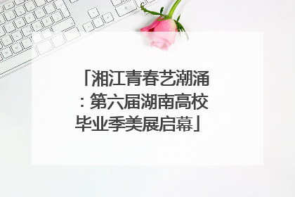 湘江青春艺潮涌：第六届湖南高校毕业季美展启幕