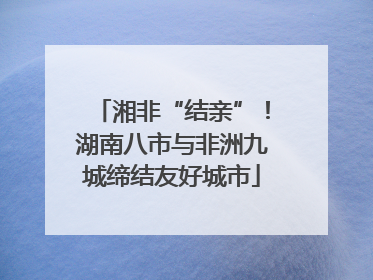 湘非“结亲”！湖南八市与非洲九城缔结友好城市