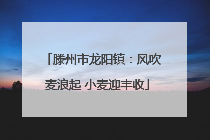 滕州市龙阳镇：风吹麦浪起 小麦迎丰收